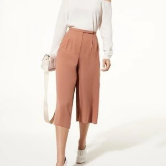 ARITZIA Babaton Lazarus Culottes - Picture 6 of 6